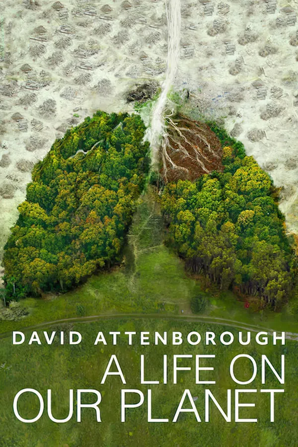 Poster phim David Attenborough: Một Cuộc Đời Trên Trái Đất trên Xem Phim Fun
