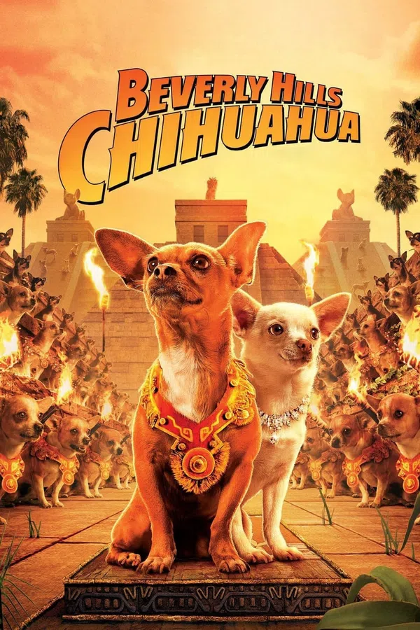 Xem Phim Những Chú Chó Chihuahua Vietsub HD Online